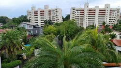 Greenmead Avenue (D11),  #500539451